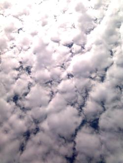 Nubes de Algodón. 