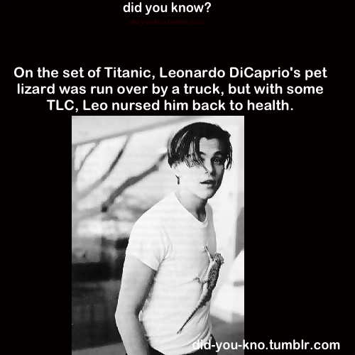did-you-kno:  Source