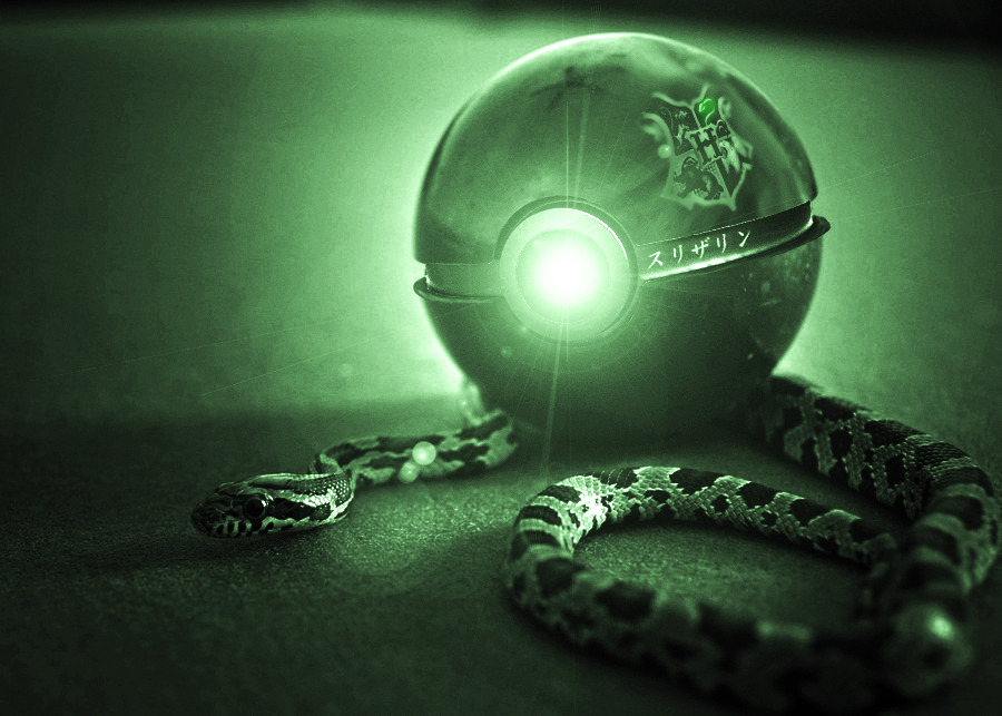 insanelygaming:  Pokeball Designs (New) Created by Barry Wazzy Check out his other