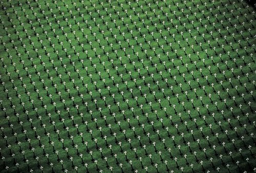 electriccharge:  Military cemetery in Verdun, France 
