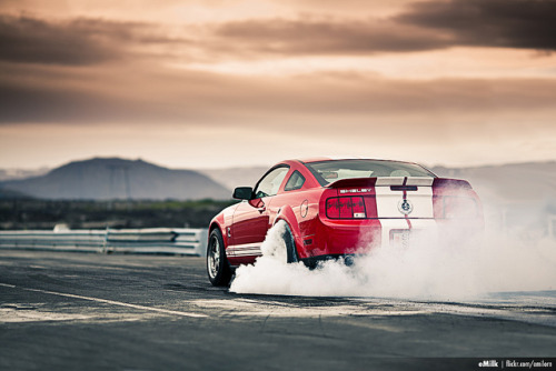 XXX automotivated:  (via Ford Mustang Shelby photo