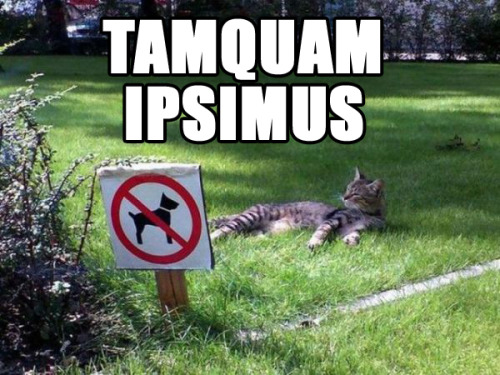 interretialia:interretialia:TAMQUAM IPSIMUSLike a Boss