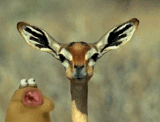 GAMESYWEAS .:VIDEOJUEGOS Y WEAS:.
