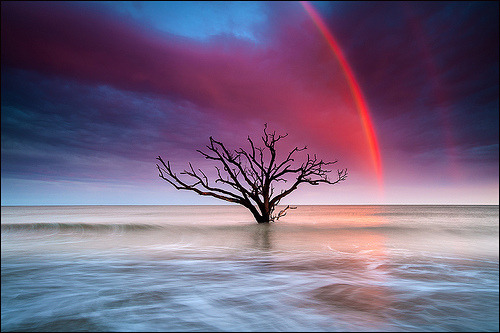lori-rocks:  Colors of Botany Bay at Sunset (by IgorLaptev)