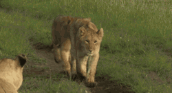 Thefunniestpost:  Hysterical Blog!