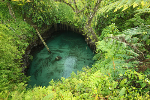 Peaking into deep To Sua waterhole, Upolu Island, Samoa (by Raphael Bick).