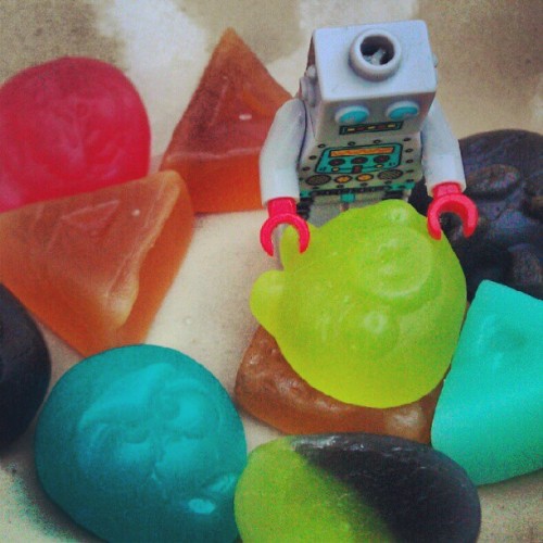tumblrbot:  fredrik:  Vilsen liten gottegris.  (Taken with Instagram at Blecktornskällaren)  WHOA WHOA BUDDY HOOK ME UP OKAY