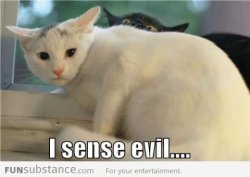funsubstancecom:  You are in for a surprise… More funny pics