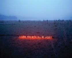 photojojo:  Lee Jung’s neon text postcards