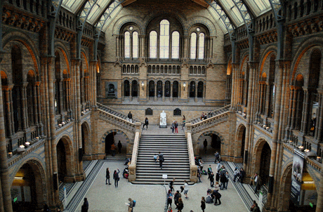 Natural History Museum of London.
