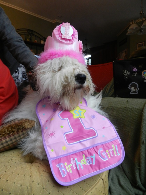 Here are Louise and Barnaby in their party hats and bibs! What a fun first birthday we&rsquo;re havi