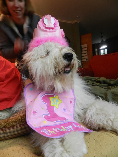 Here are Louise and Barnaby in their party hats and bibs! What a fun first birthday we&rsquo;re havi