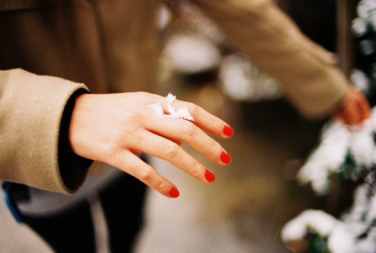 palides:  29 (by QiS!)