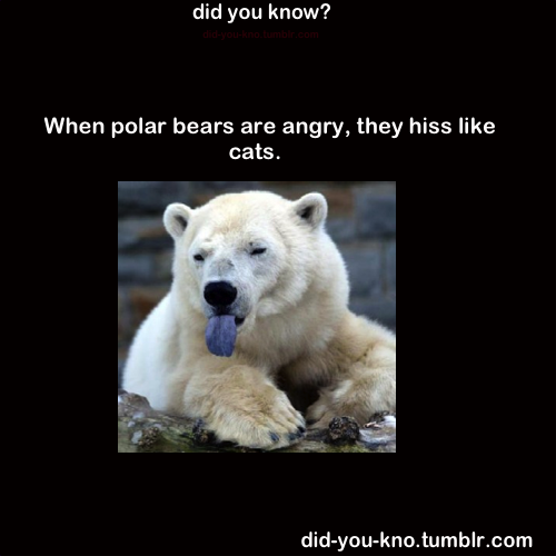 did-you-kno:  Source