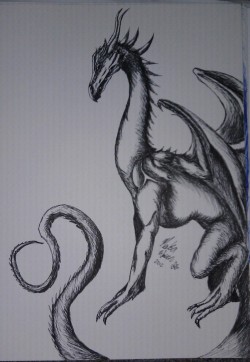 My beautiful, beautiful dragon. Done 100% freehand in black ink.   Twas only my 4th (and last) ever dragon drawing too!