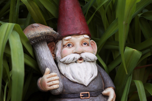 Gnome Culture