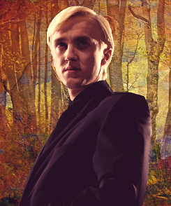 thegirlincendio:  AU; Harry Potter characters competing in The Hunger Games  Hermione
