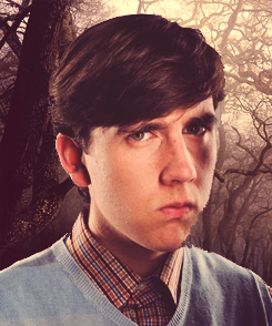 thegirlincendio:  AU; Harry Potter characters competing in The Hunger Games  Hermione