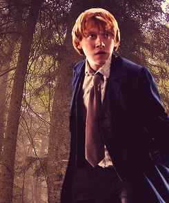 thegirlincendio:  AU; Harry Potter characters competing in The Hunger Games  Hermione