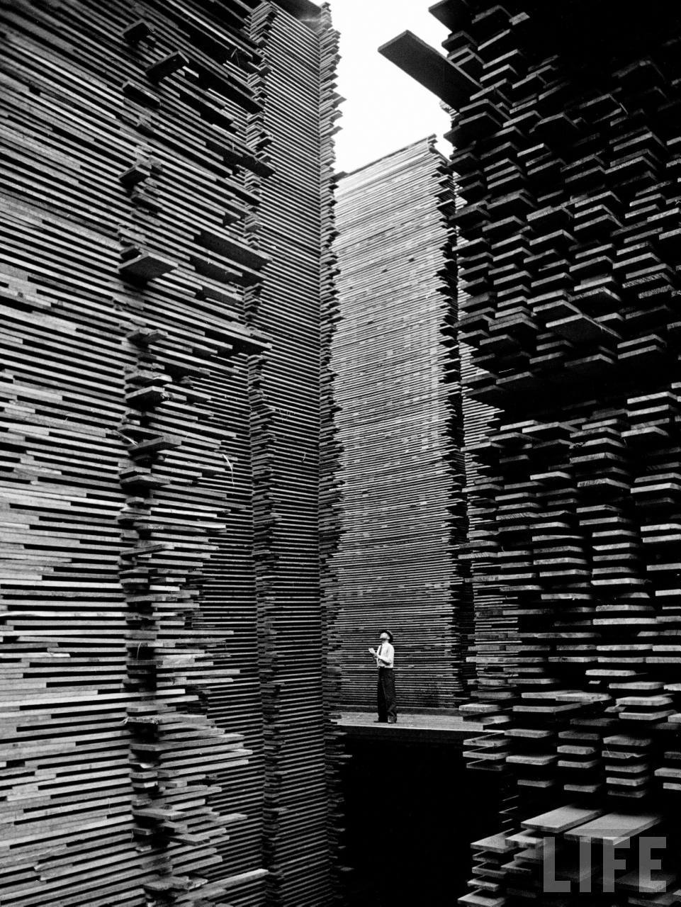 onlyoldphotography:  Alfred Eisenstaedt: A man standing in the lumberyard of Seattle