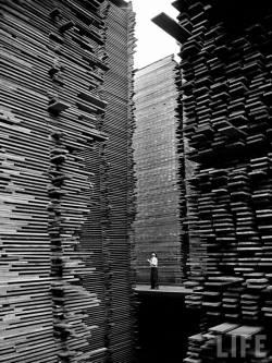 Onlyoldphotography:  Alfred Eisenstaedt: A Man Standing In The Lumberyard Of Seattle