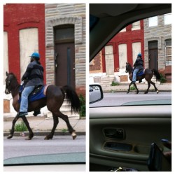 Livefrombmore:  Only In Baltimore Will You Find A Random Guy Riding A Horse Down