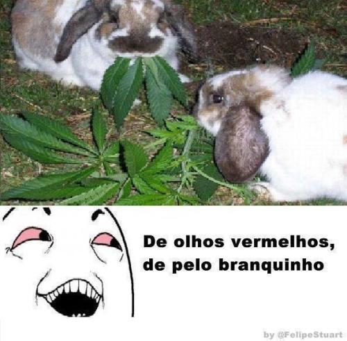 Nada Interessante