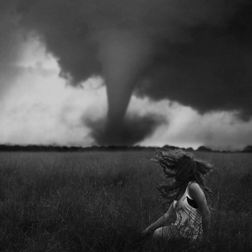 vvolare:  by Kiara Rose