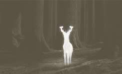 mymagicplace:  Harry Potter alphabet | M is for Marauders
