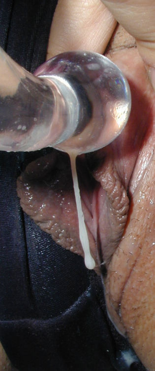 irispanties:  my wife creaming her glass dildo 