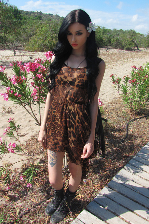 Felice Fawn Infatuation