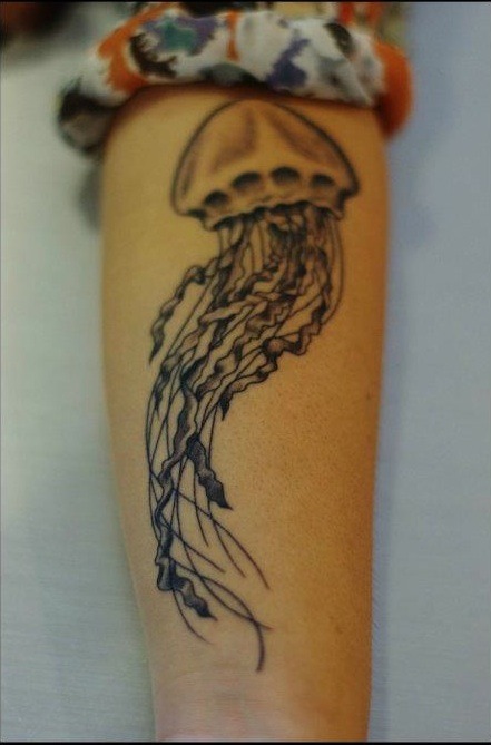 fuckyeahtattoos:  In a slightly strange way, jellyfish embody everything about me.