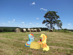 royalcanterlotvoice:  all you’r bits by ~jackfrostcat