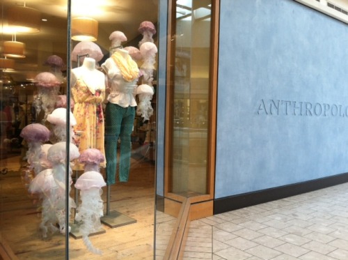 An overview of all my projects as a display intern at Anthropologie, Short Hills :)