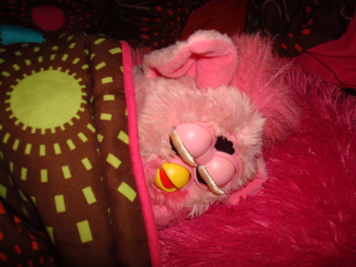 pinkfurbyadventures:  Catching up on my beauty sleep!