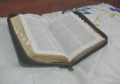  O poder das palavras é imenso, saiba ir atrás das que te trarão sabedoria. 