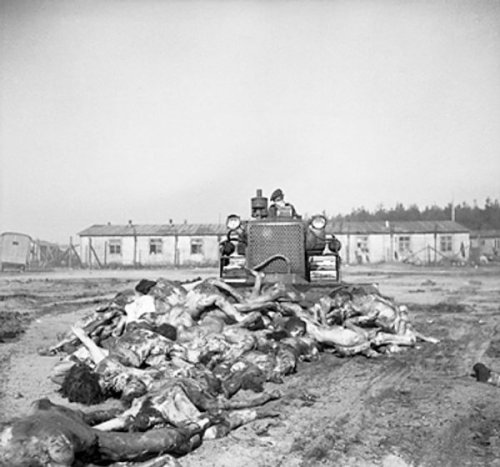 failfail9: A British Army bulldozer pushed bodies of Bergen-Belsen Concentration Camp victims into a