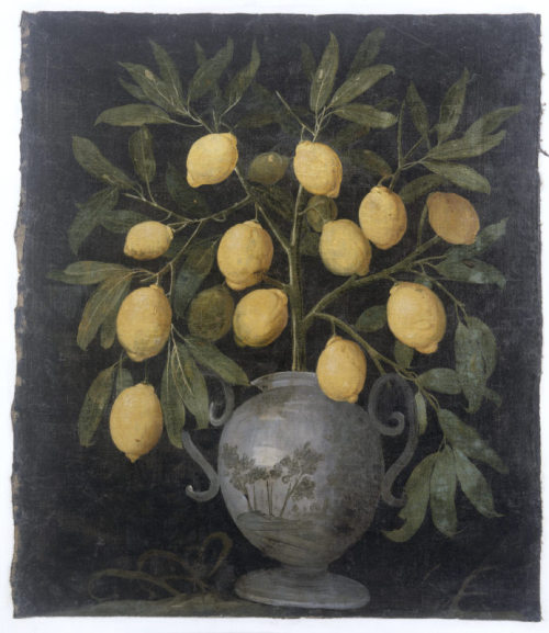 carmelitalikes: Painted motif of a vase with a small lemon tree or branch in the frieze of the Carto