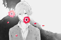  the petals are like our love, fluttering_ あまざけ