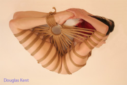  Shibari, by Douglas Kent link to his work 