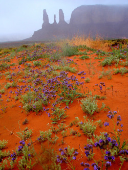 room42:  Some pretty astonishing colors in Monument Valley, Arizona/Utah 