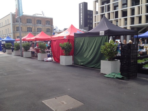 I finally wandered over to the Britomart Farmers Market.  It&rsquo;s held behind the Britomart Stati