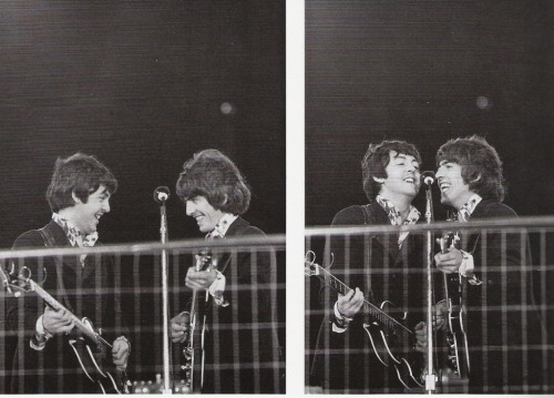 thateventuality:  Scan - Paul and George, Candlestick Park, San Francisco, 29 August 1966 Photos: Ji