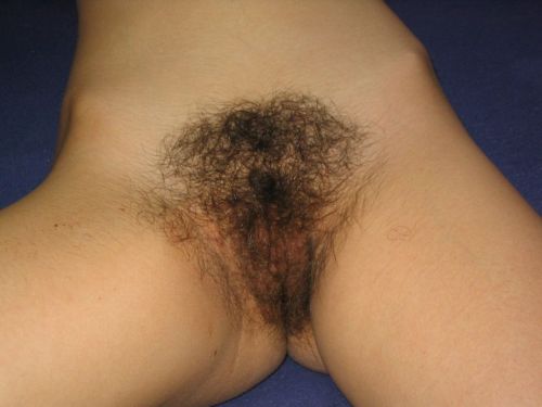 as-n8ture-intended:  Gorgeous hairy amateur.divine. adult photos