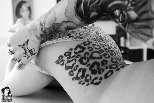 klaaaarika:  I follow back similar blogs. 