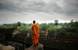 slaying:  (by IanBrewer) Angkor Wat Jungle