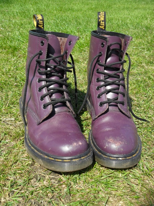 tropicalqueen:  i took this of my docs today and i think it looks cute aw x