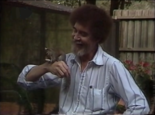 Bob with a squirrel in his backyard. Series 24 episode 7.