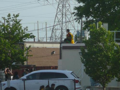 adreus:scipioaemilianus:so um we happened to look out the window when we were eating and ROBIN WAS O
