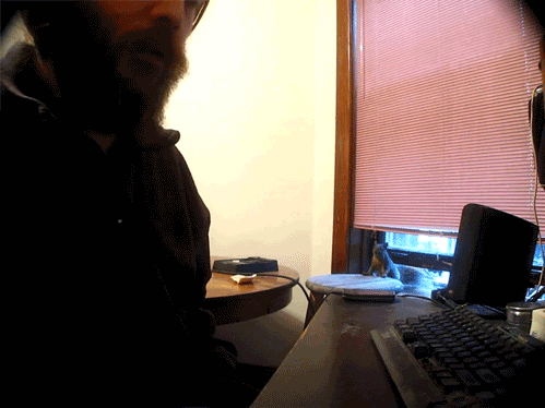 latashanderson:  Squirrel steals a chip. 